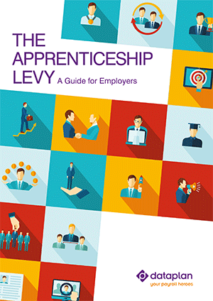 apprenticeship levy guide