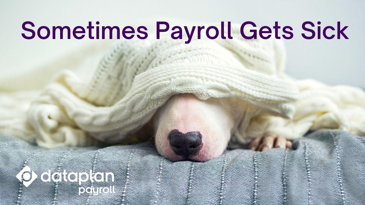 Short term payroll solutions from Dataplan